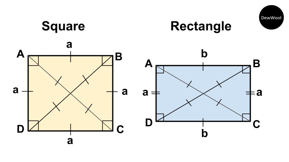 Every square is a rectangle - DewWool