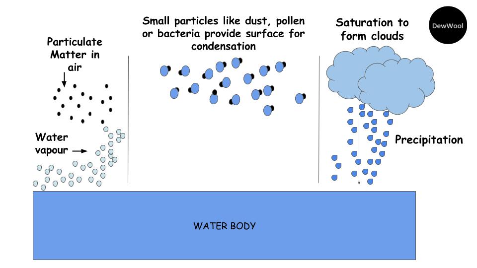 Condensation DewWool