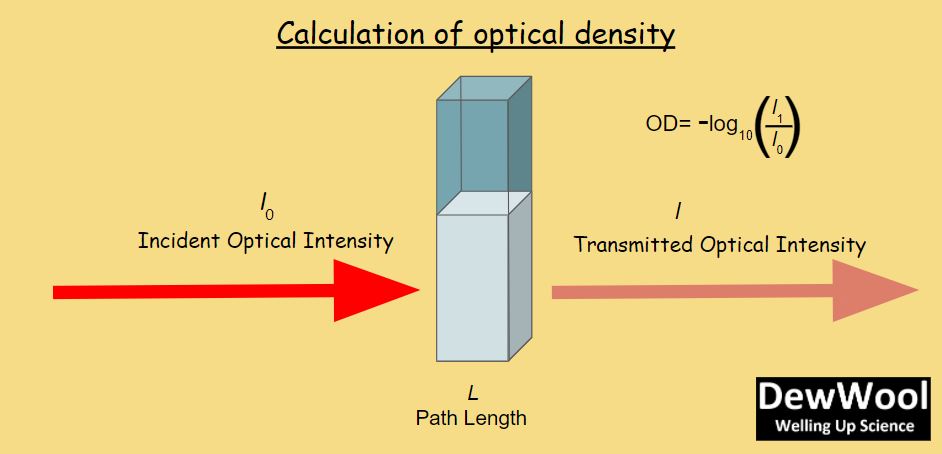 Optical Density Meaning Measurement Applications DewWool