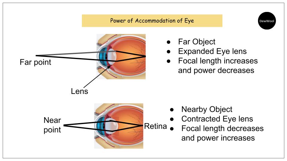 What Is Power Of Accommodation Of Eye DewWool