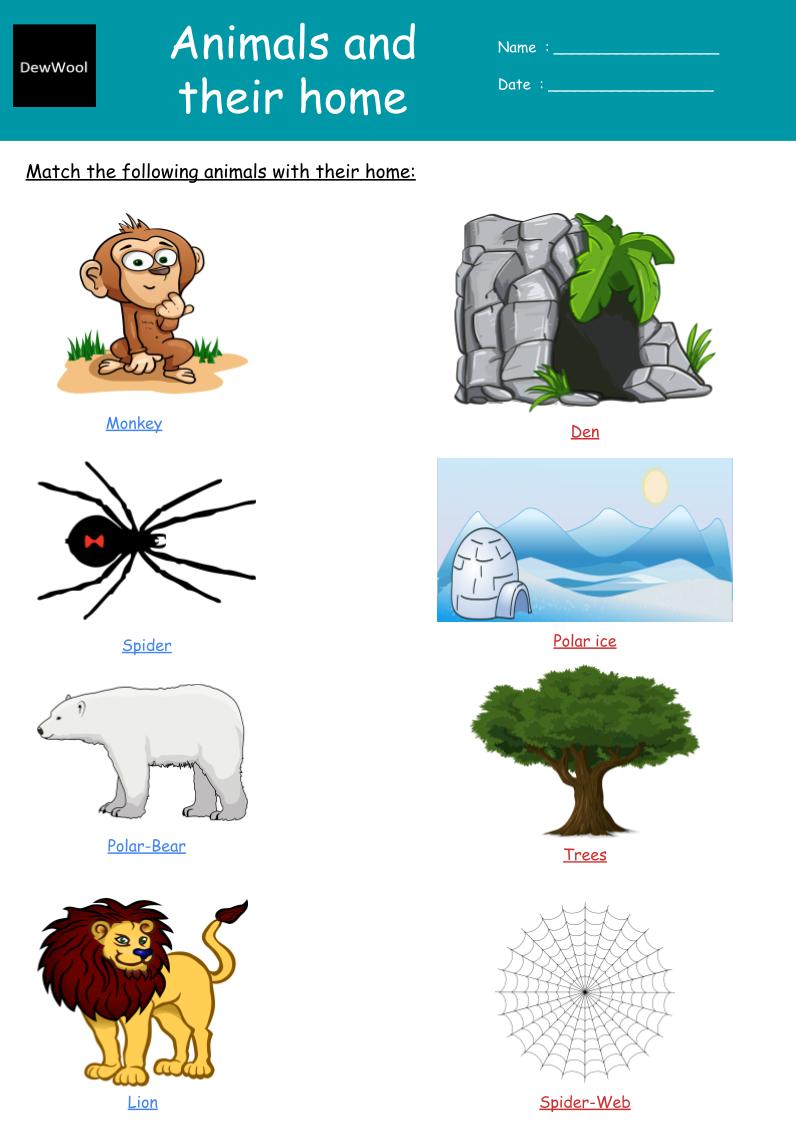 Animals and their home worksheet - DewWool