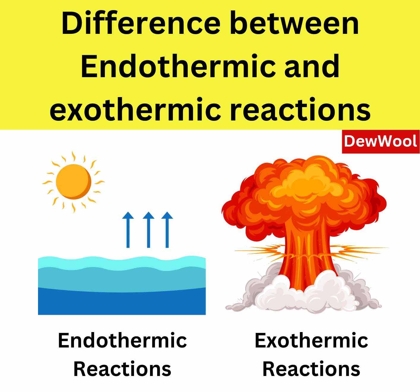 10 Differences Between Endothermic And Exothermic Reactions DewWool