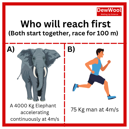 Dewwool Answer QUIZ (11) | DewWool