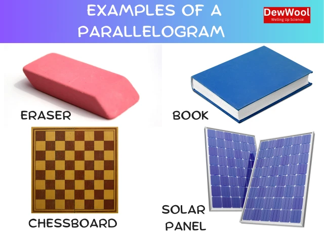 rectangle examples in real life