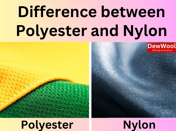 Viaje Investigación santo 12 Differences Between Polyester And Nylon - DewWool