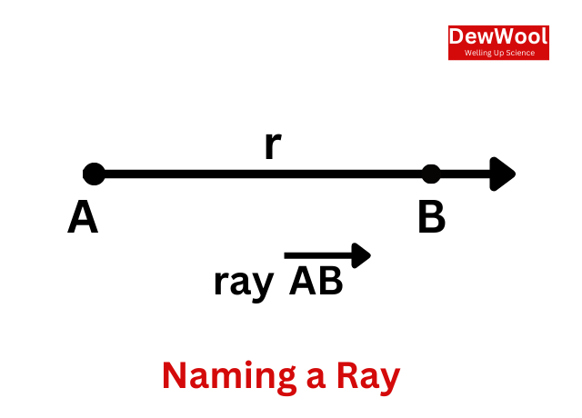 Ray In Geometry DewWool