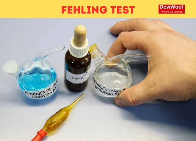 FEHLING TEST - DewWool