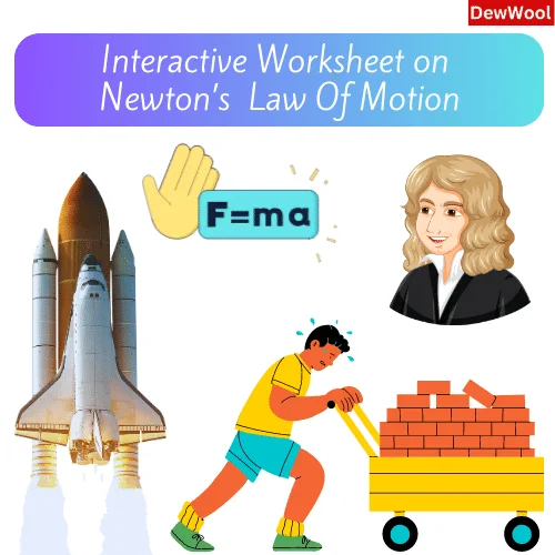 Dewwool Answer Newton’s Law of Motion | DewWool