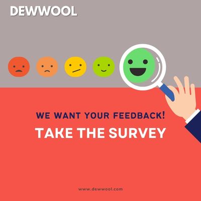 Dewwool Answer 2 | DewWool