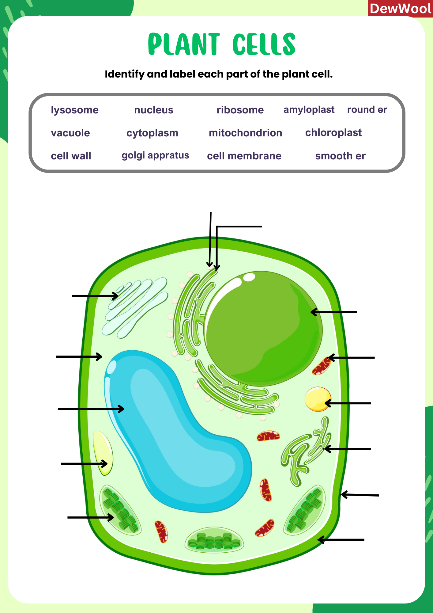 plant_cell_interactive_worksheet | DewWool